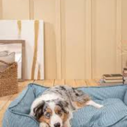 تشک سگ و گربه سایز دو ایکس لارج طرح دار شاهی