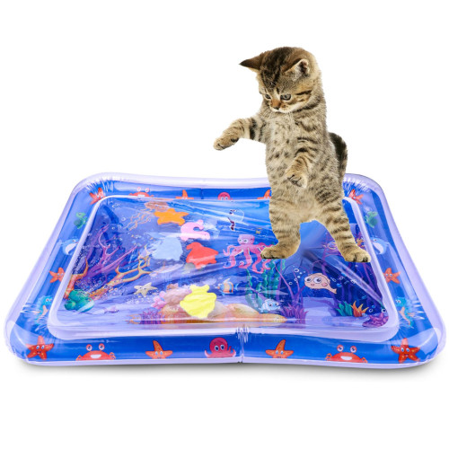 اسباب بازی استخر بازی گربه و سگ