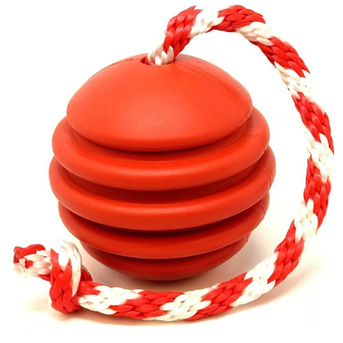 اسباب بازی سگ توپ بازي فومي ویتال زاریکس