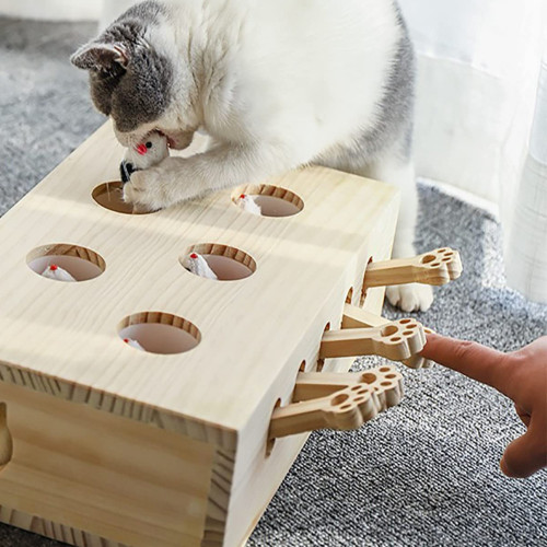 اسباب بازی فکری گربه موش پدالی