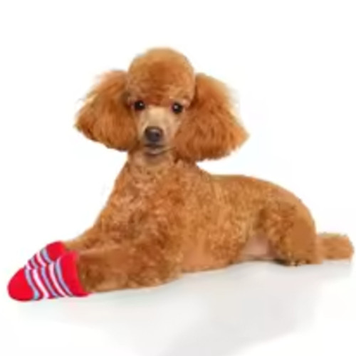 جوراب پک 4 عددی سایز s m L XL