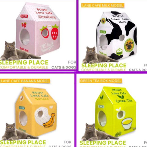 جای خواب گربه کافه لانه