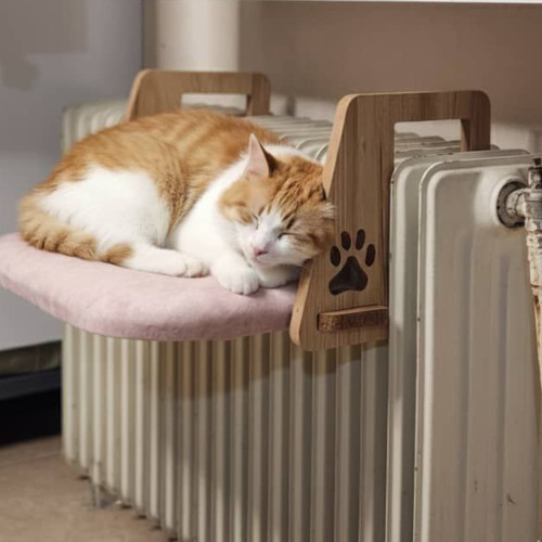 جاخواب شوفاژی گربه